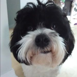 Meet your Posher, Cassie